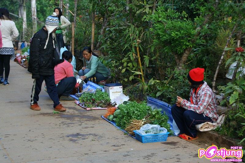 อ่างขาง ดอยแห่งความสุข