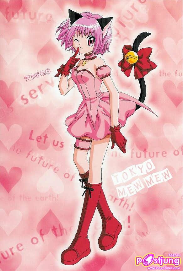 เหมียวสตรอเบอร์รี่