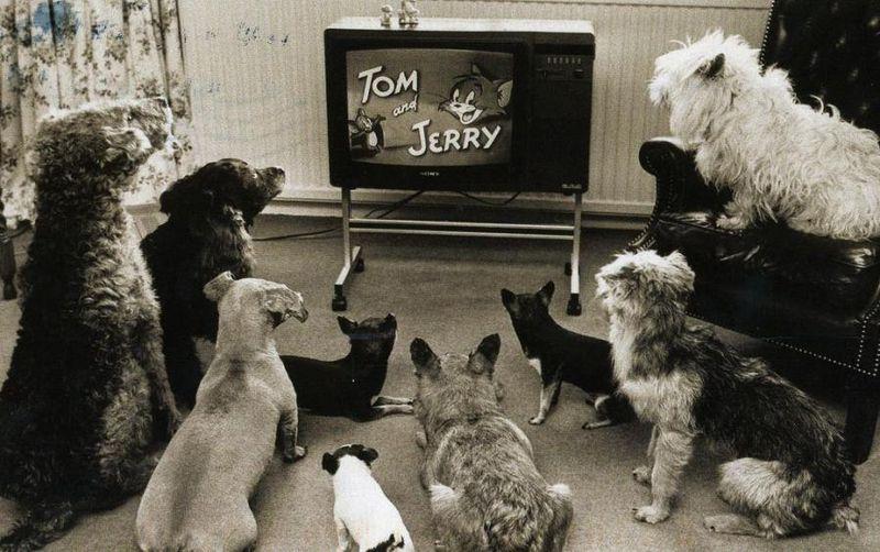 funny picture ขำขัน ฮาๆ (1)
