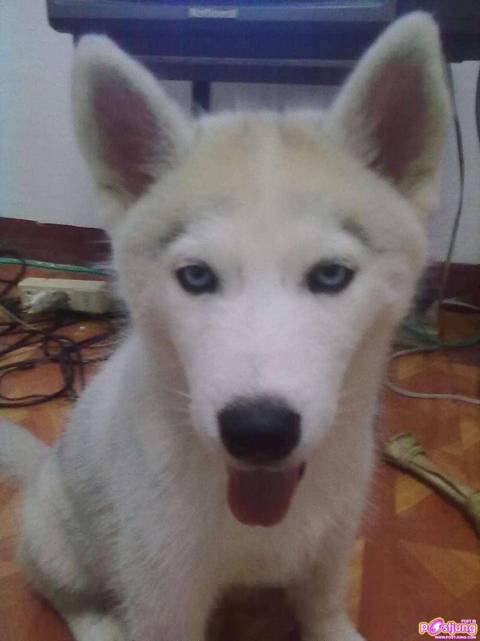 ฟรองดรู