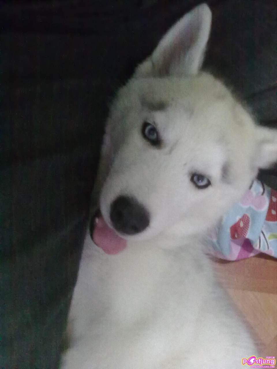 ฟรองดรู