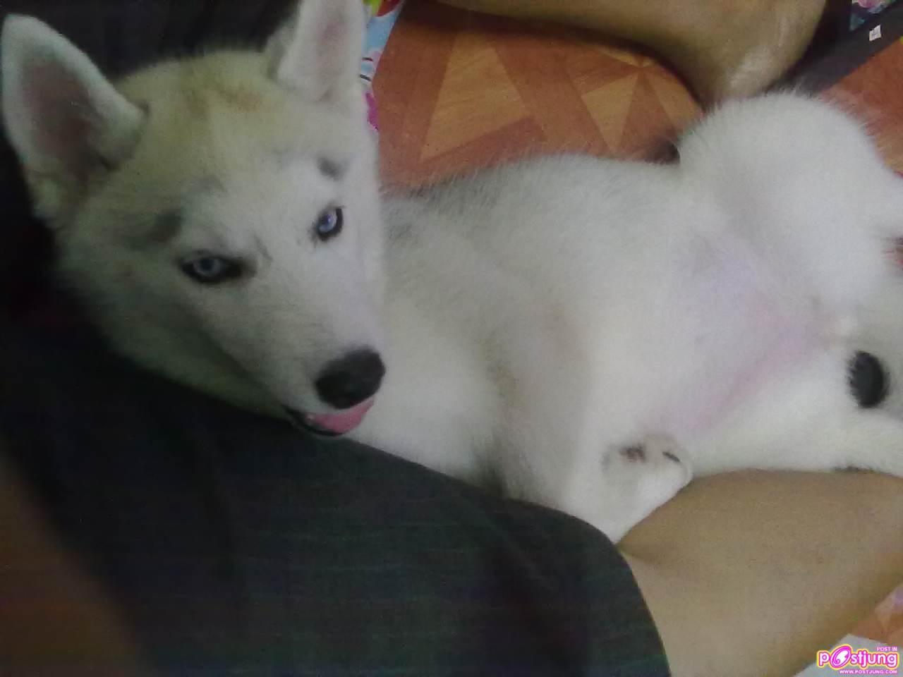 ฟรองดรู