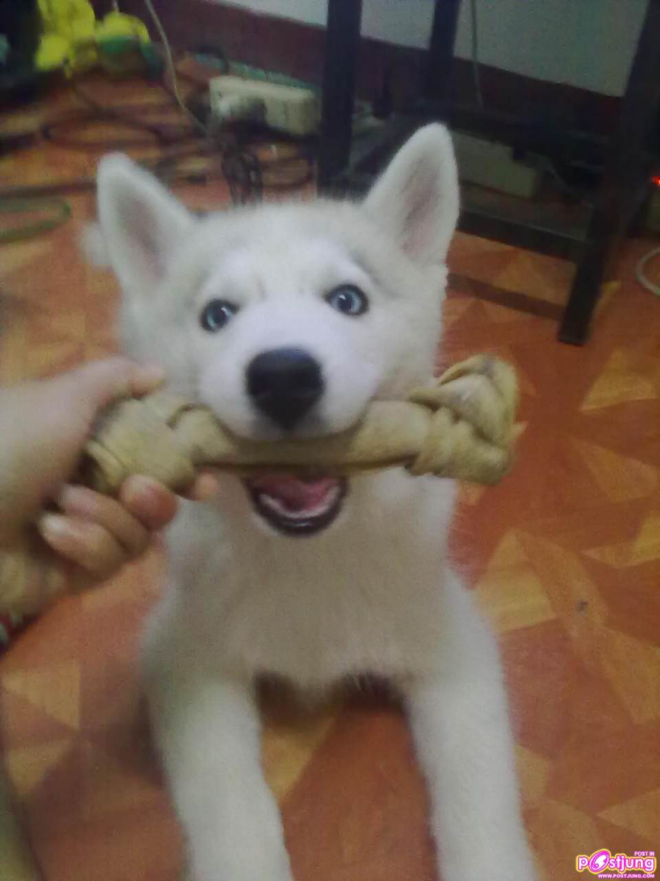 ฟรองดรู