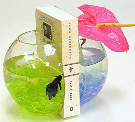 อันดับที่ 4 Fish Bowls Bookends