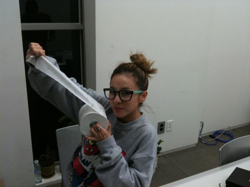 ซานดาร่า 2NE1