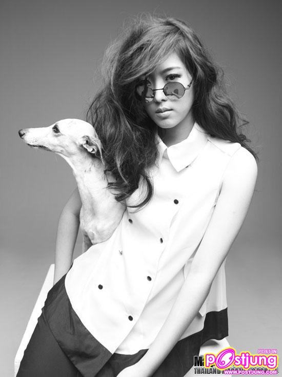 ดิฉัน vol.34 no.818 March 2011