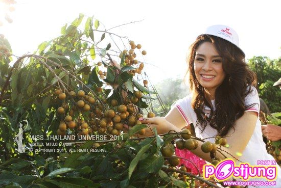 Miss Thailand Universe 2011 (น้องพลอย) สิริทิพย์ ก้องเกียรติไกร (หมายเลย 36) ร่วมโหวตกันได้นะค่ะ