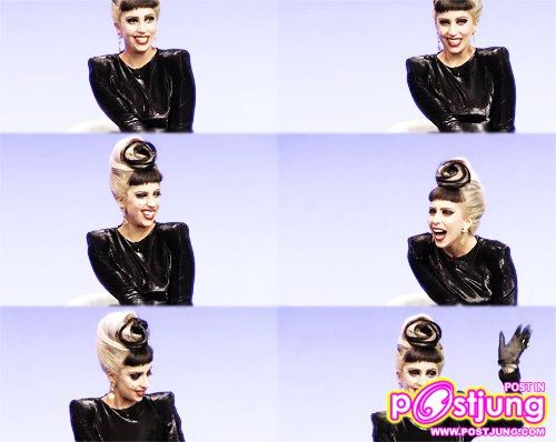 lady gaga & แวะไป google