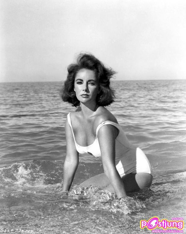 In Memory :Elizabeth Taylor (27 February 1932 &ndash; 23 March 2011)