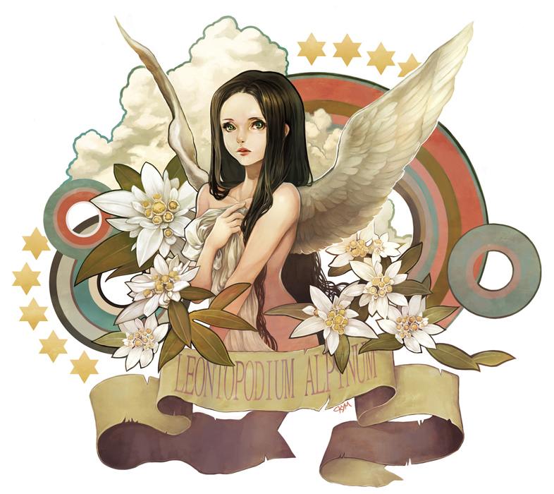 ของสะสม 5 ครับ