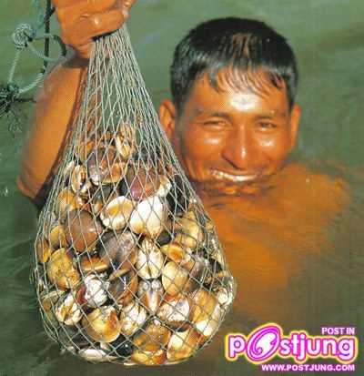 หอยชักตีน อาหารขึ้นชื่อของจังหวัดกระบี่?