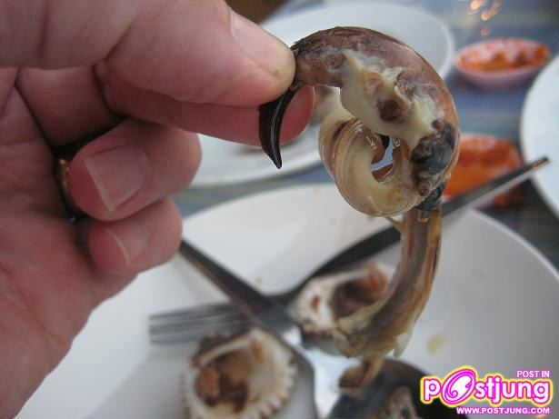 หอยชักตีน อาหารขึ้นชื่อของจังหวัดกระบี่?