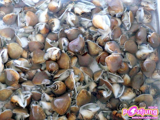 หอยชักตีน อาหารขึ้นชื่อของจังหวัดกระบี่?