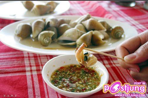 หอยชักตีน อาหารขึ้นชื่อของจังหวัดกระบี่?