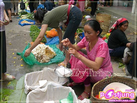 พักสายตาไปเที่ยว12ปันนากัน