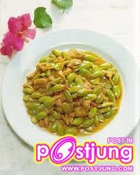 ต้นเหรียง และลูกเหรียง