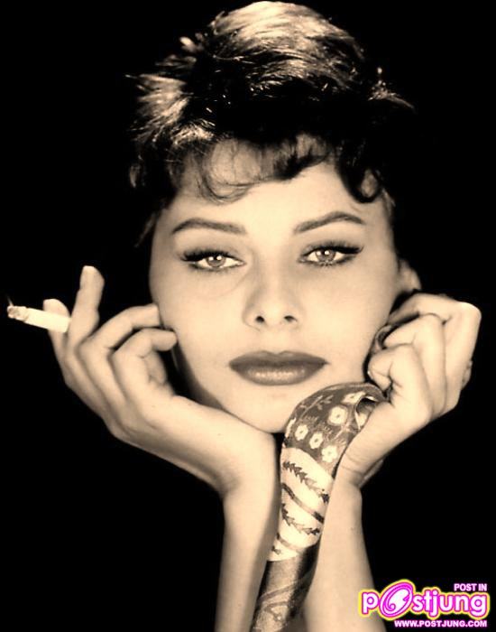 อันดับ 9 [[ Sophia Loren ]]