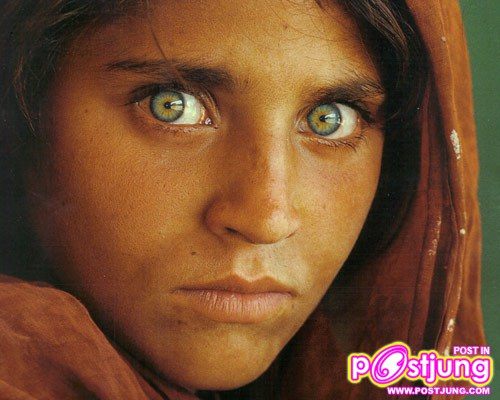 อันดับ 6 [[ Sharbat Gula ]]