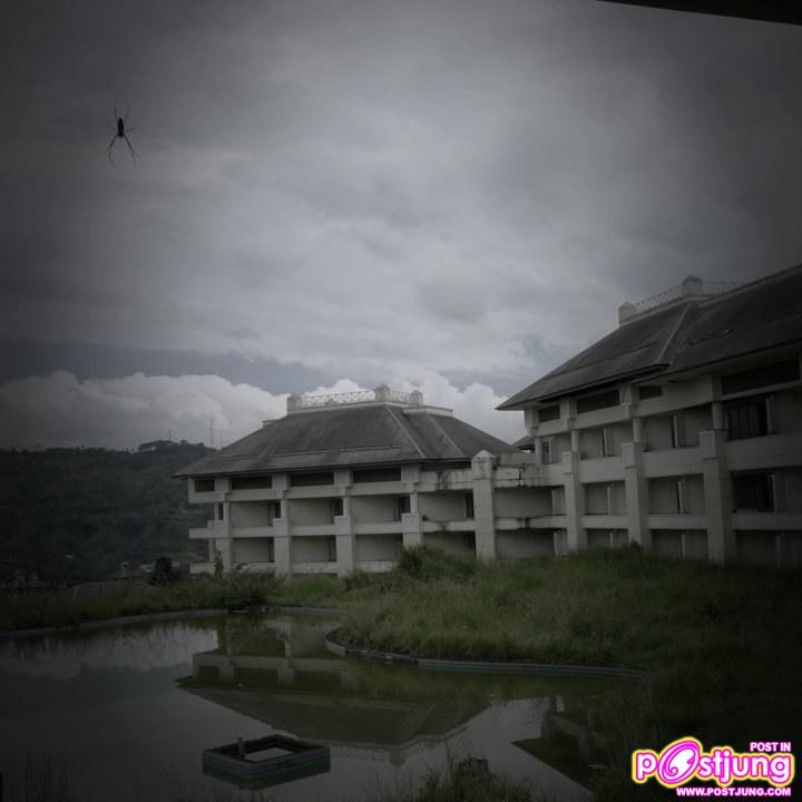 SANTI WAINE  SumMER OF LOVE ...Behind the Lens