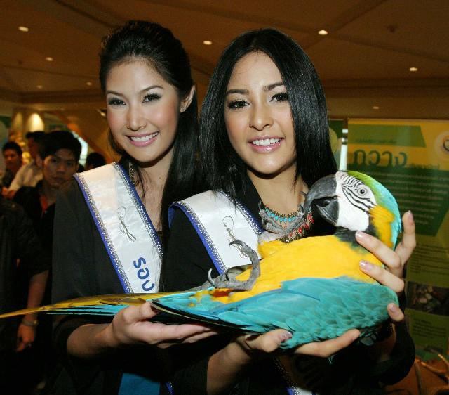 ปุ๊กลุ๊ก อีกสักชุด