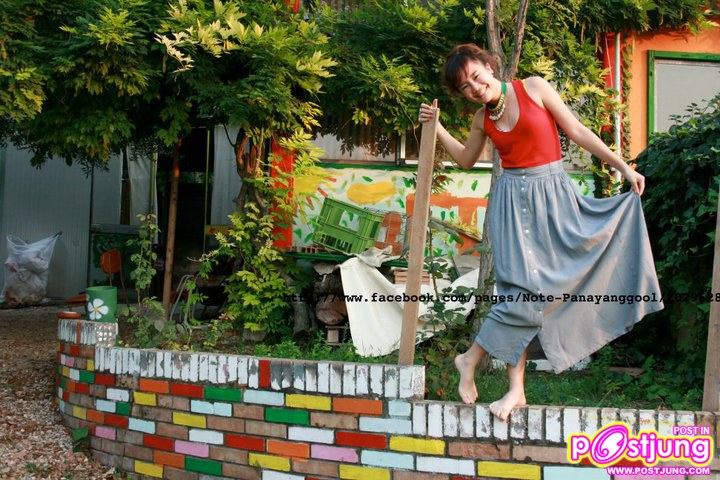 นท เดอะสตาร์7