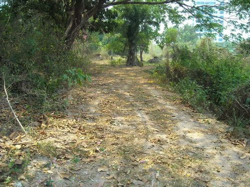 ลัดดาแลนด์