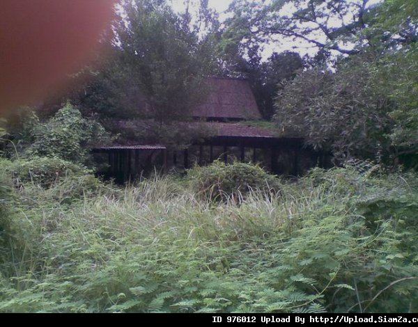 ลัดดาแลนด์