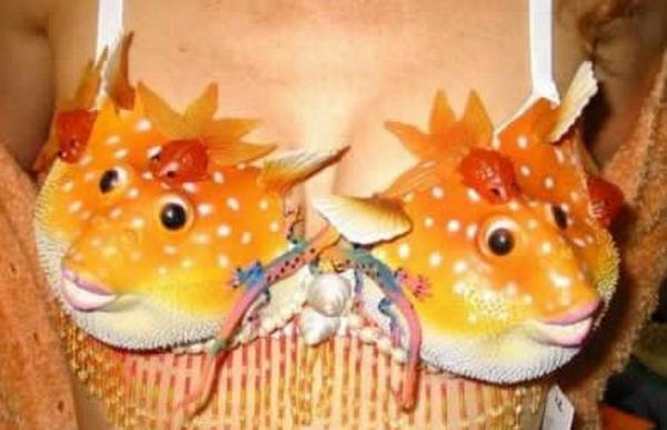 เสื้อในเก๋ๆ