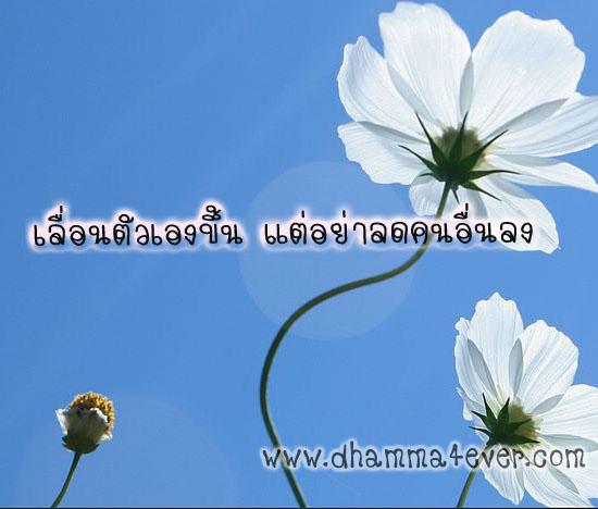 ธรรมะวันละนิด จิตแจ่มใส