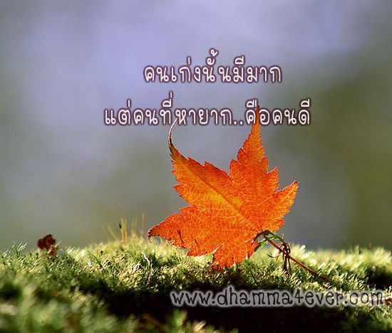 ธรรมะวันละนิด จิตแจ่มใส