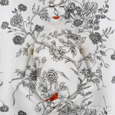 วอล์เปเปอร์มนุษย์&rlm;