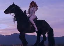 ตัวอย่าง Run The World (GIRLS) บียอนเซ่