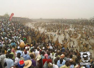 Fishing @ Nigeria