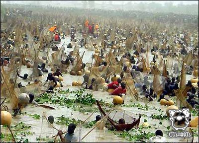 Fishing @ Nigeria