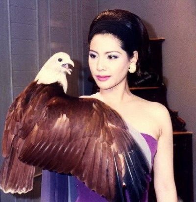 เร็วๆนี้อาจได้เห็นฝีมือการแสดงของชไมพร จตุภุช นางเอกดาวค้างฟ้าในละครเรื่อง"บ่วง"ในบทของเจ้าย่า