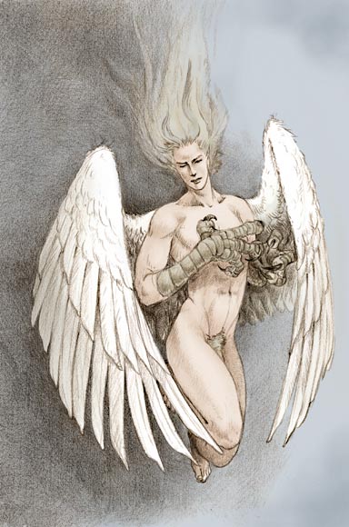 การ์์์์์์์์์์ตูนวายล้วนๆ