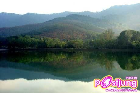 ม.อ. หาดใหญ่