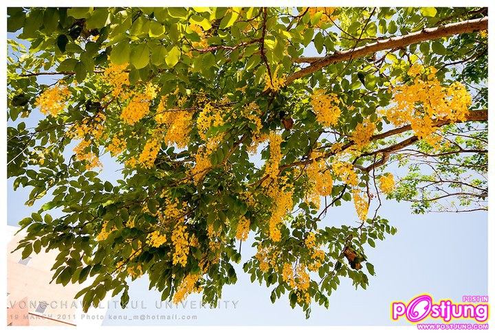 ภาพบรรยากาศมหาวิทยาลัยวงษ์ชวลิตกุล