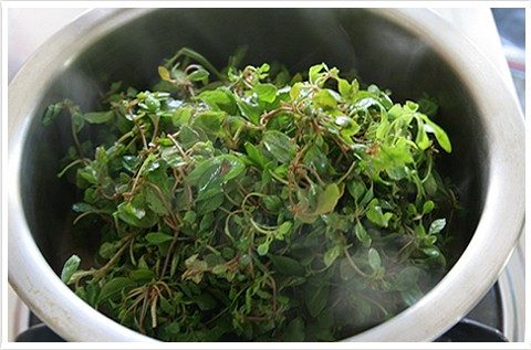 หลังจากนั้นเร่งไฟให้แรงและน้ำพระเอกของเราคือผักอี๋ไรใส่ลงไปกดให้จมน้ำแกงและปิดไฟทันทีเพราะผักชนิดนี้สุกง่ายอยู่แล้วและที่สำคัญควรรับประทานร้อนๆจะได้รสชาติที่อร่อยมากๆ กินร้อน ช้อนกลาง ปลอดภัยแน่นอน รับรองไม่มีพยาธิแลเชื้อโรคใดๆ