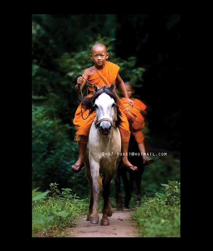 พระขี่ม้าบิณฑบาต เชียงราย