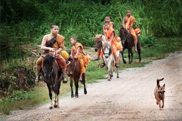 พระขี่ม้าบิณฑบาต เชียงราย