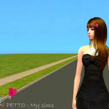 My sims By Petto