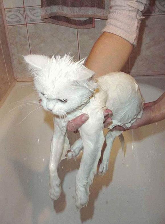 แอบถ่ายตอนอาบน้ำ เต็มๆ ไม่เซ็นเซอร์ เจ้าค่ะ