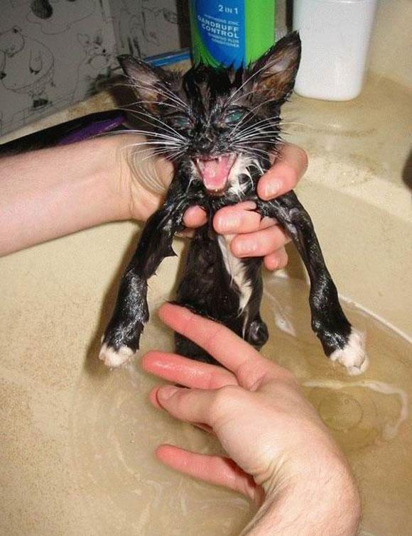 แอบถ่ายตอนอาบน้ำ เต็มๆ ไม่เซ็นเซอร์ เจ้าค่ะ