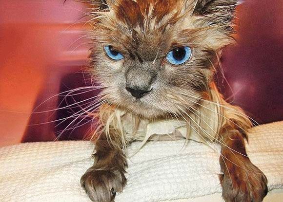 แอบถ่ายตอนอาบน้ำ เต็มๆ ไม่เซ็นเซอร์ เจ้าค่ะ