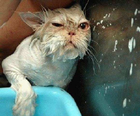 แอบถ่ายตอนอาบน้ำ เต็มๆ ไม่เซ็นเซอร์ เจ้าค่ะ