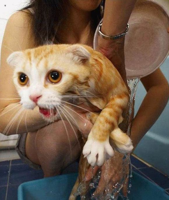 แอบถ่ายตอนอาบน้ำ เต็มๆ ไม่เซ็นเซอร์ เจ้าค่ะ