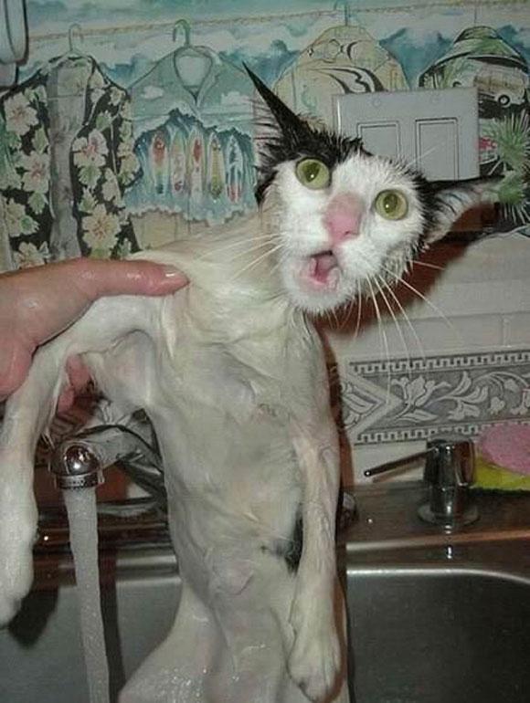 แอบถ่ายตอนอาบน้ำ เต็มๆ ไม่เซ็นเซอร์ เจ้าค่ะ