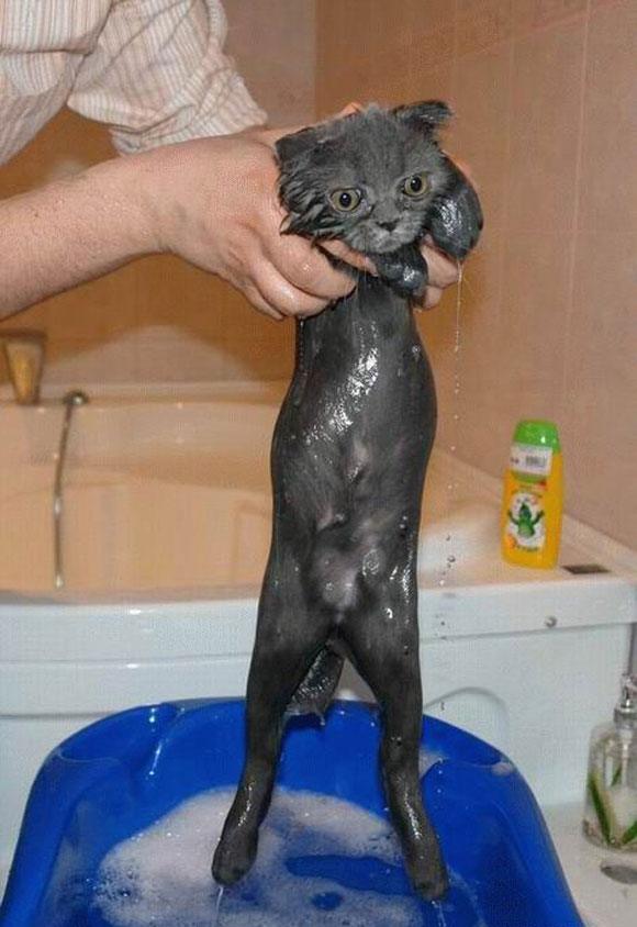 แอบถ่ายตอนอาบน้ำ เต็มๆ ไม่เซ็นเซอร์ เจ้าค่ะ