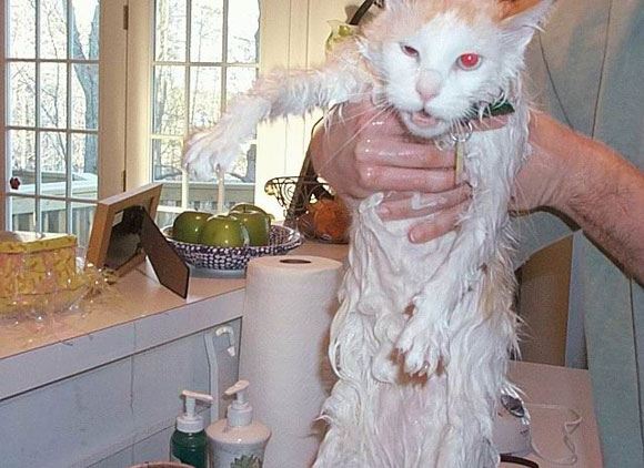 แอบถ่ายตอนอาบน้ำ เต็มๆ ไม่เซ็นเซอร์ เจ้าค่ะ